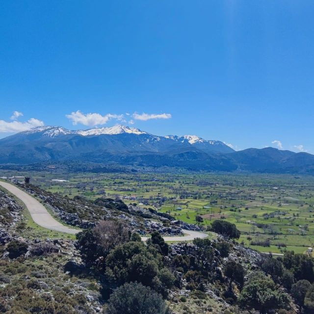Safari: Lasithi Plateau, ZEUS Cave,Olive Oil Tasting - Good To Know