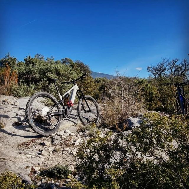 Saint-Aygulf: Bike Rental