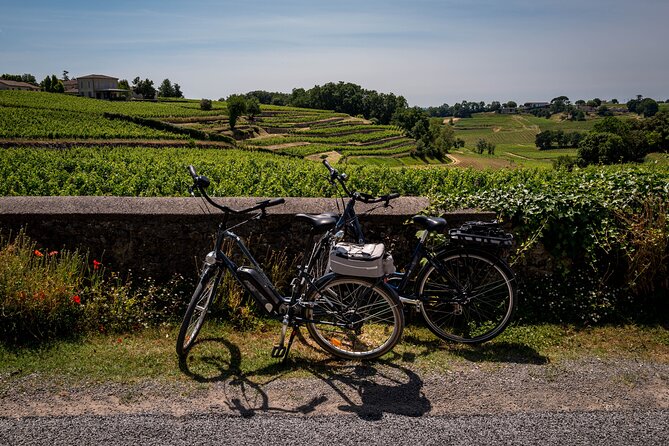 Saint Emilion Half Day Ebike and Wine Tour With Picnic Dinner