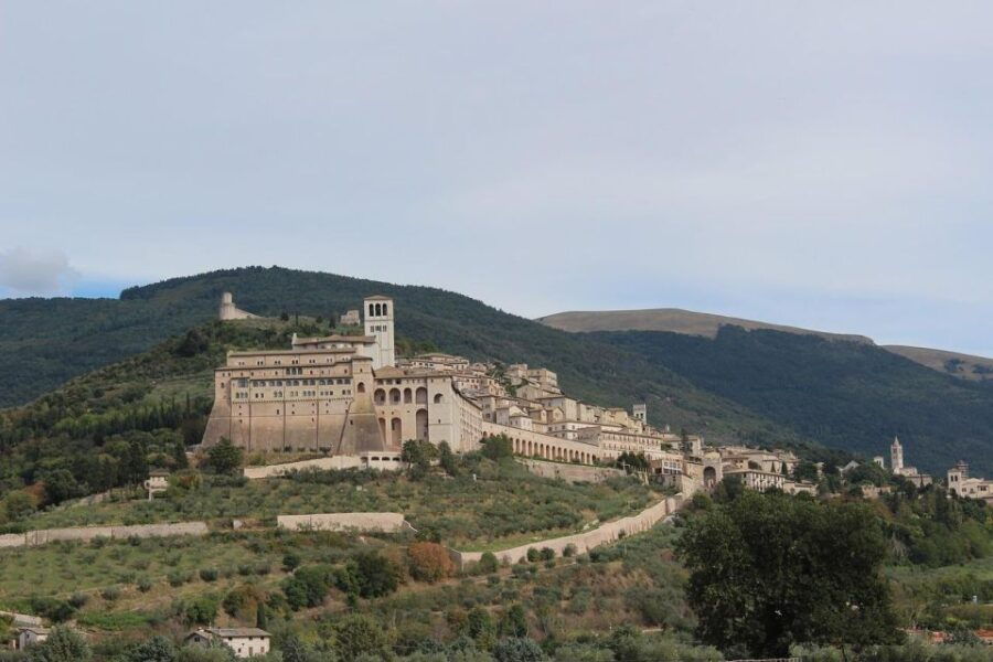 Saint Francis Wood With Tuk Tuk: Assisi