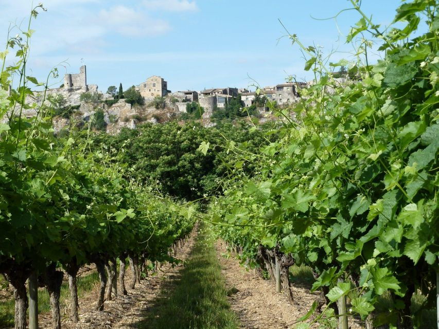 Saint-Martin-dArdèche: Electric Bike Wine Tour & Tasting