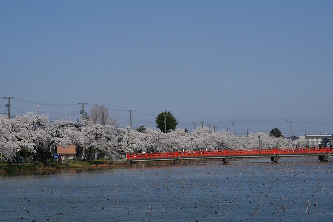 Sakura Park and Old Town Private Tour - Good To Know