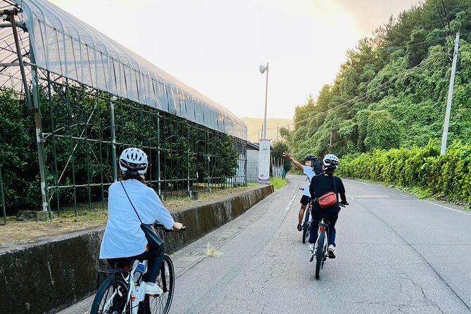 Sakurajima Morning Hill Climb by E-Bike - Good To Know