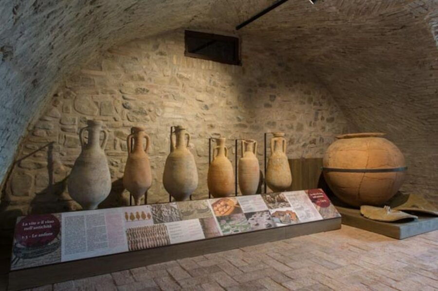 Sala Baganza: Wine Museum Ticket - Cancellation Policy and Booking Details