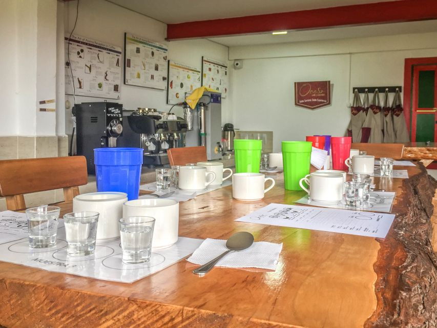 Salento: Coffee Tour at Finca El Ocaso - Tour Duration and Language Guides