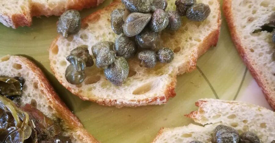 Salina Capers Experience - Experience Details