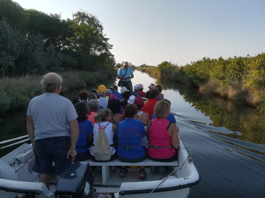 Salina Di Cervia: by Boat in Search of Flamingos