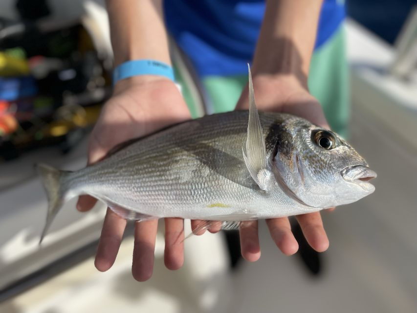 Salou: Hands-On Fishing Trip With Swimming at Sea
