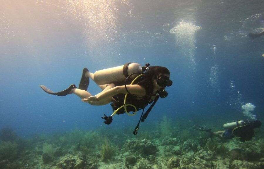 San Andrés: Guided Scuba Diving Trip With Hotel Transfer