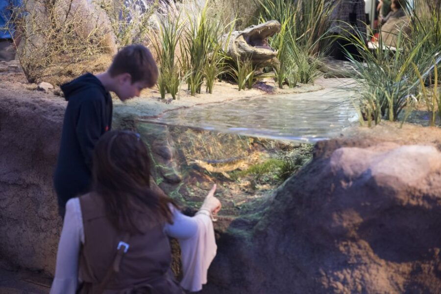 San Antonio: Witte Museum Admission Ticket - Good To Know