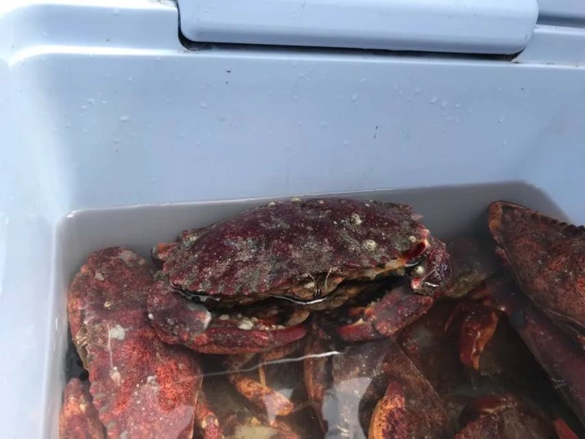 San Francisco: Crab & Cook Under the Golden Gate Bridge
