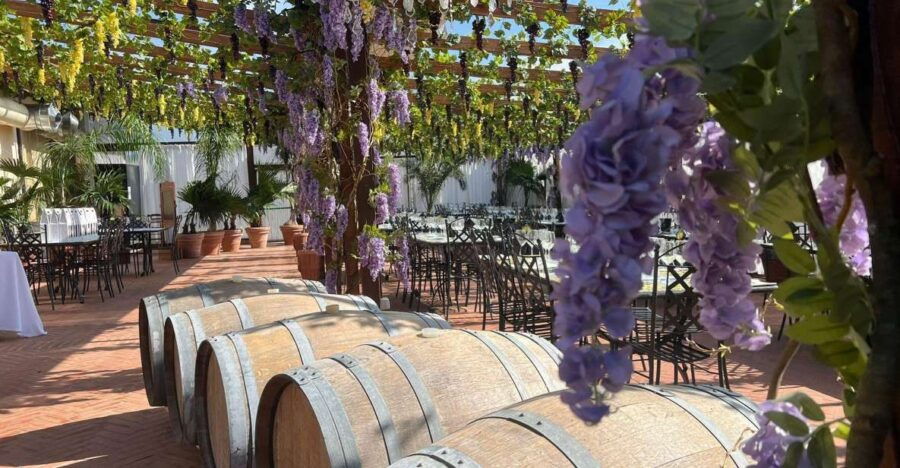 San Gimignano: Dinner or Lunch on Veranda and Wine Tasting