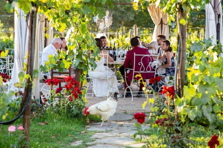 San Gimignano: Exclusive and Private Canopy Dinner in Winery - Inclusions