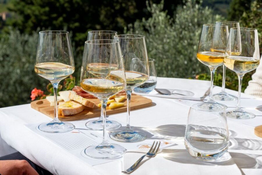 San Gimignano: Professional Wine Tasting Experience
