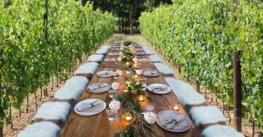 San Gimignano: Romantic Vineyard Lunch