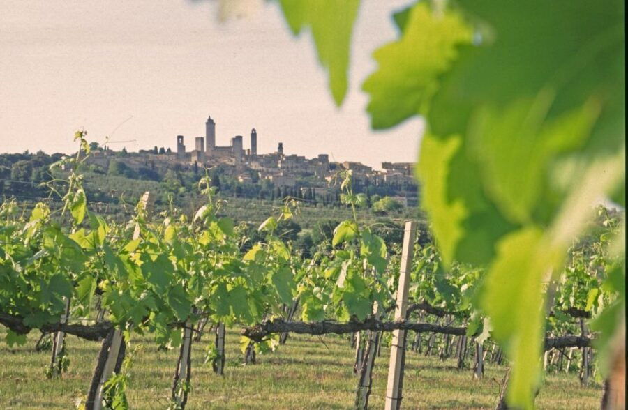 SAN GIMIGNANO: TASTING WITH A VIEW OF THE TOWERS