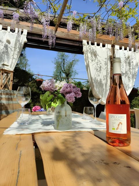 San Gimignano: Wine Tasting With Food Pairing - Experience Highlights