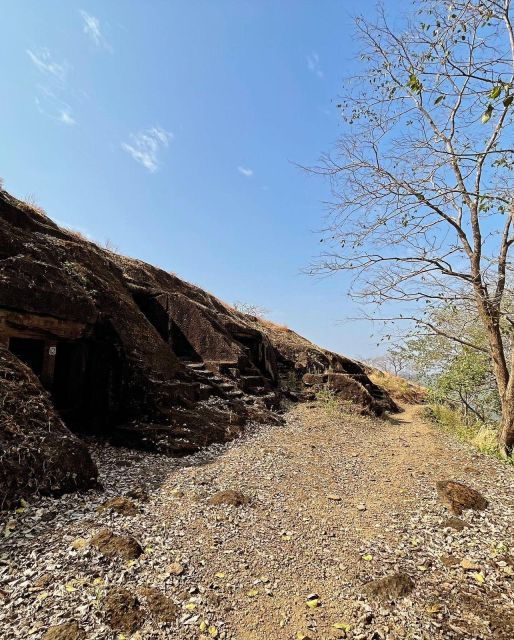 3 Best Safari Tours In Mumbai
