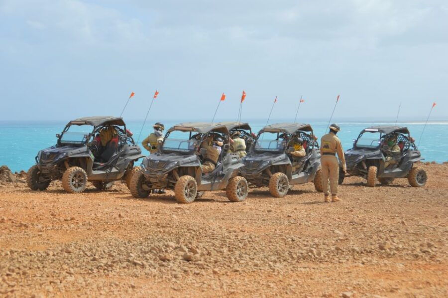 Santa Maria: Desert Adventure on a 500cc or 1000cc Buggy