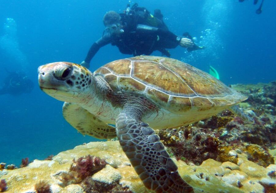 Santa Maria: Discover Scuba Diving