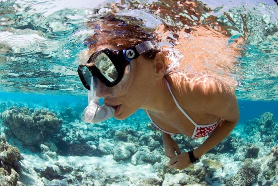 Santa Maria: Guided Snorkeling Shipwreck and Reef Tour - Tour Details