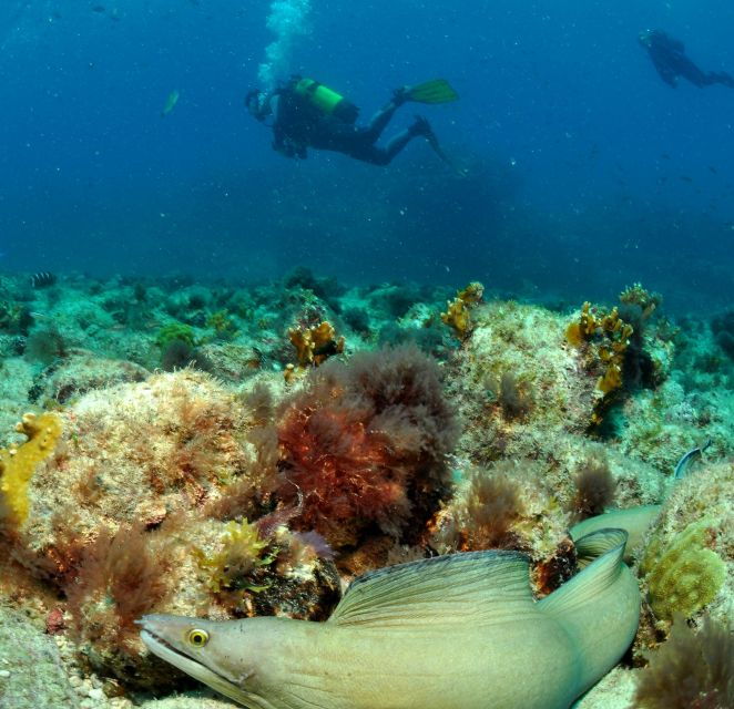 Santa Maria: Scuba Diving Package With 6 Dives