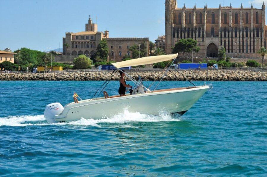 Santa Ponsa: MINERVA, License Boat Rental - Good To Know