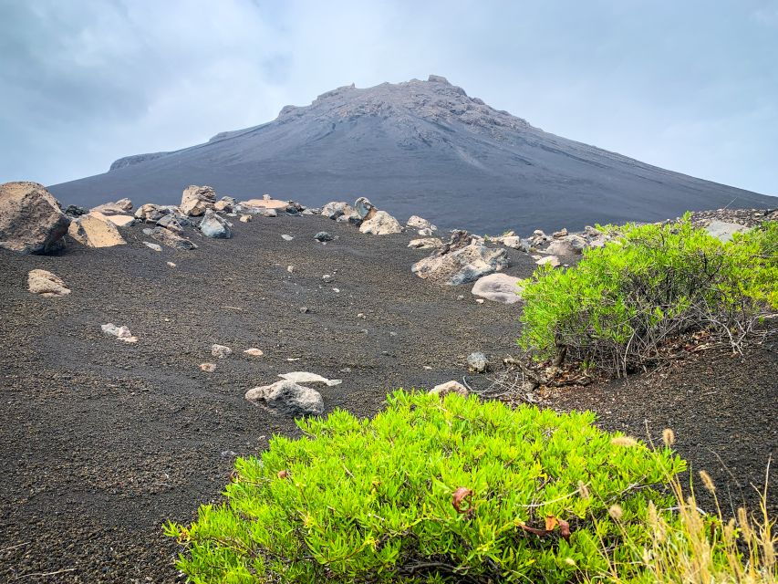 Sao Filipe: Coffee Plantation and Natural Pools Day Trip - Itinerary Highlights