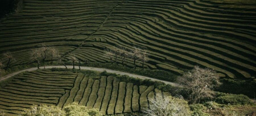 São Miguel: Furnas & Nordeste Full-Day Tour Including Lunch - Tour Details