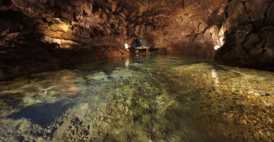 São Vicente Caves and Volcano Center Half-Day Tour - Inclusions and Highlights
