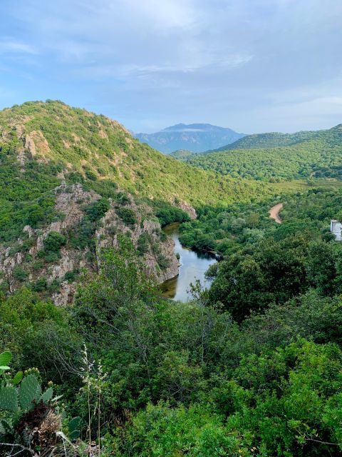 Sardinia: Tour With Donkeys and Aperitif by the River