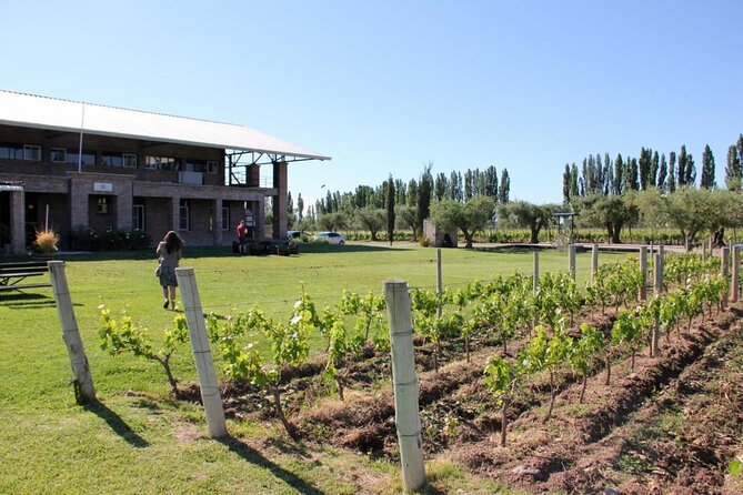 Savoring Luján De Cuyo: a Culinary and Wine Exploration