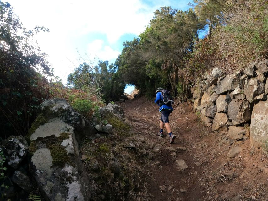 Scenic Route: Altos De Masca