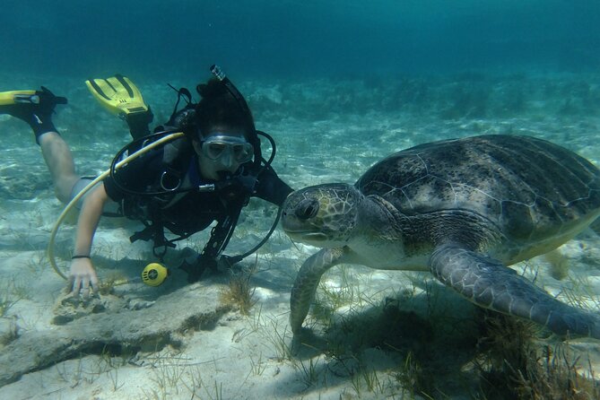 SCUBA DIVING First Time Experience - Good To Know