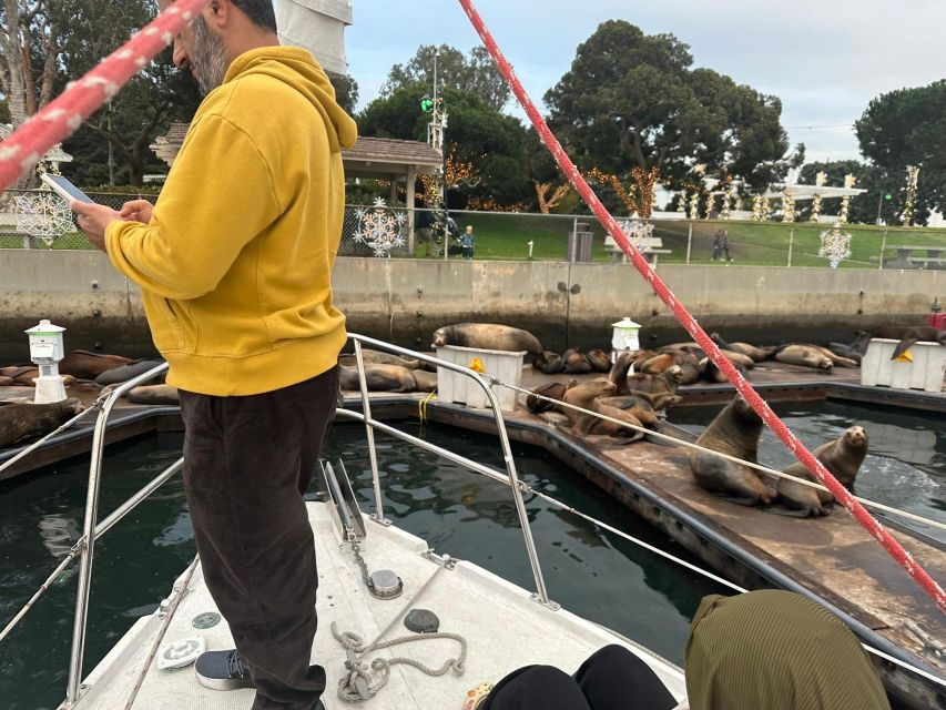 Sea Lion Excursion