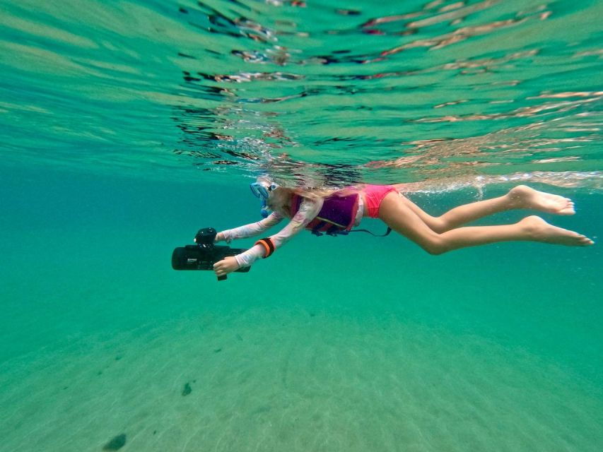 Sea Turtle Jet Snorkeling With Videos