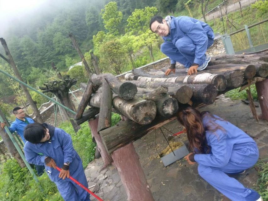 Sechuan: Big Panda Volunteer Day Tour