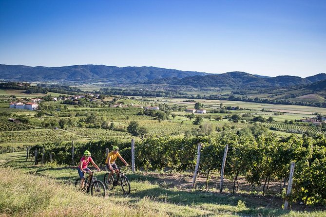 Secret Vineyards E-Bike Tour