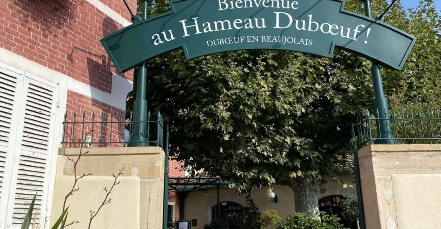 Self-Guided Day-Trip by Train to the Beaujolais (From Lyon) - Good To Know