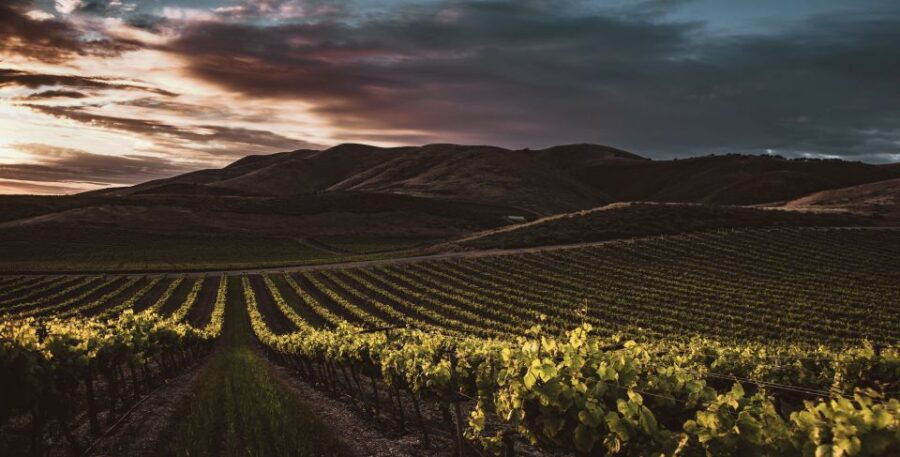 2 Best Wine Tours In Lodi California