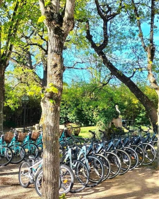 Seté: Bike Rental - Activity Details