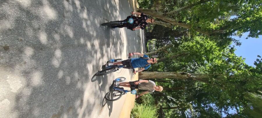 Seville: Electric Kickscooter Rental