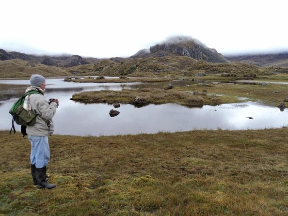 Shared Cajas National Park Full Day Tour