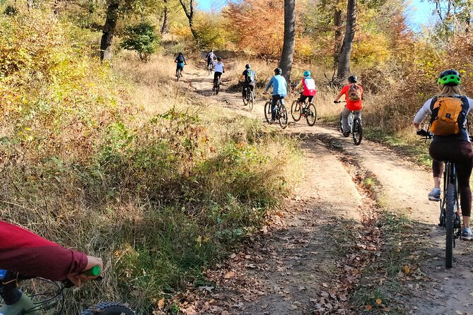 Sibiu: E-Bike Guided Tours - Good To Know