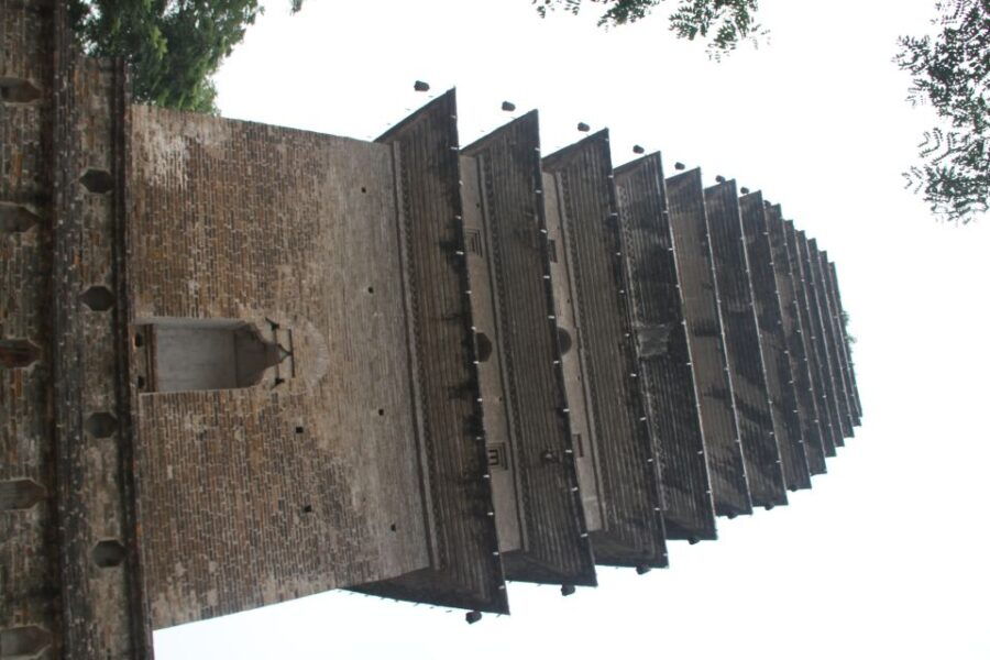 Sichuan: Giant Panda and Leshan Buddha Sall Group Day Tour