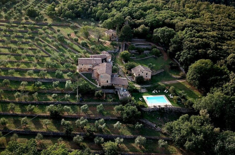 Siena: EVO Oil Experience With Walk, Tasting and Lunch - Activity Details