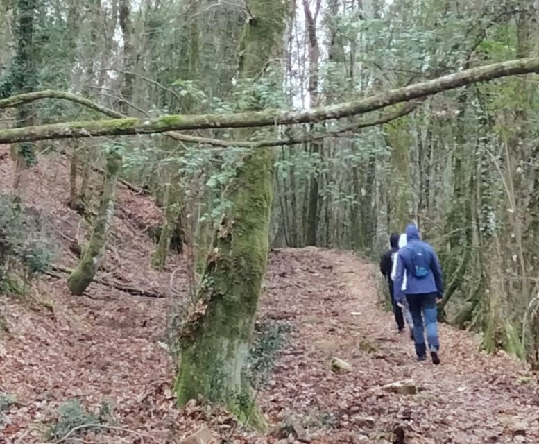 Siena – Nature and Scenic Trekking in Beautiful Tuscany