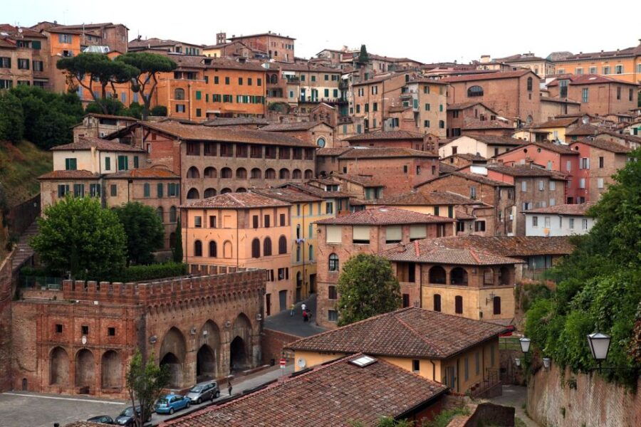 Siena, San Gimignano and Chianti Day Trip From Florence - Optional Add-Ons