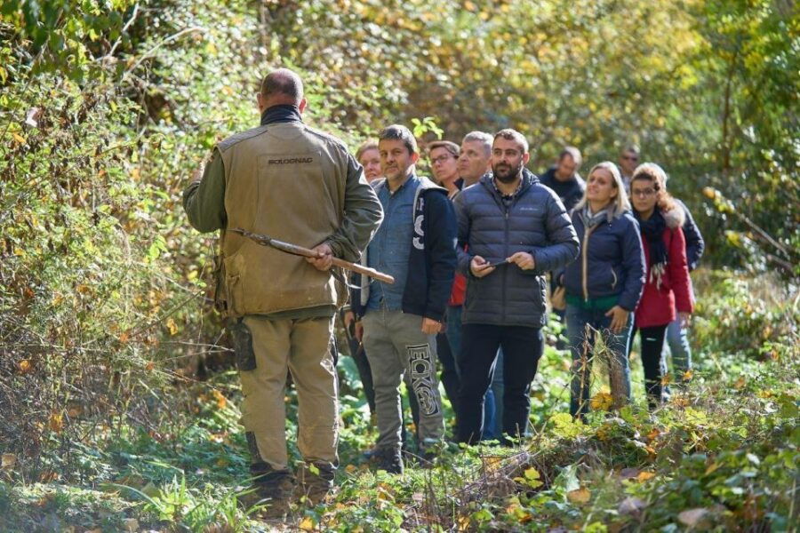 Siena - Truffle Hunting in the Sienese Woods With Tasting - Languages and Starting Location