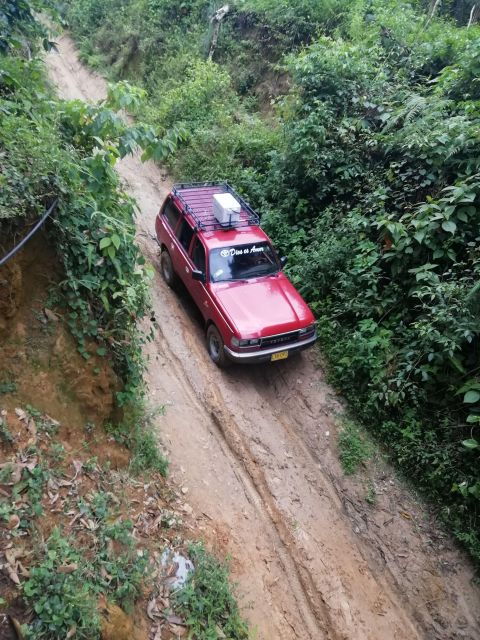 Sierra Minca Day Tour